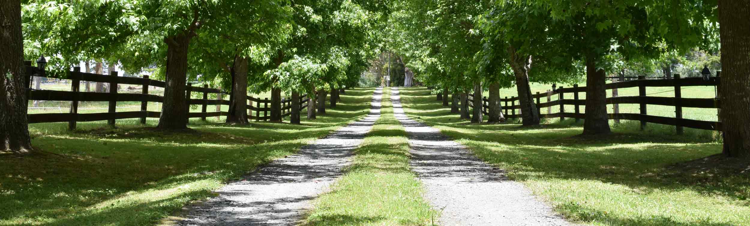 Fence along a country driveway by Finer Lawn & Landscaping