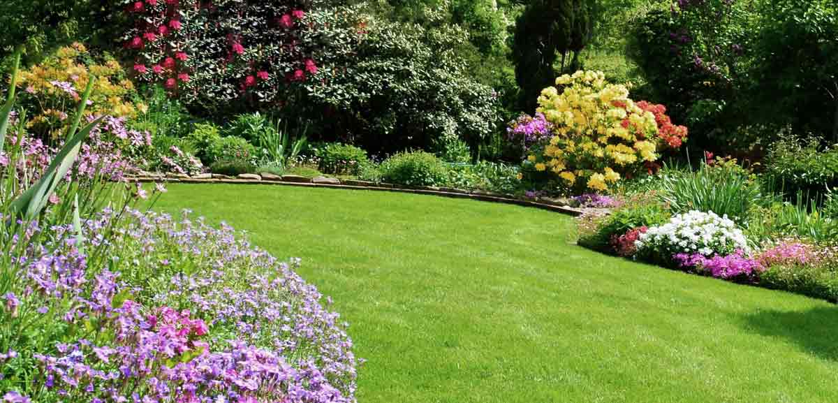 Landscaping - berm with mature flowers and plants